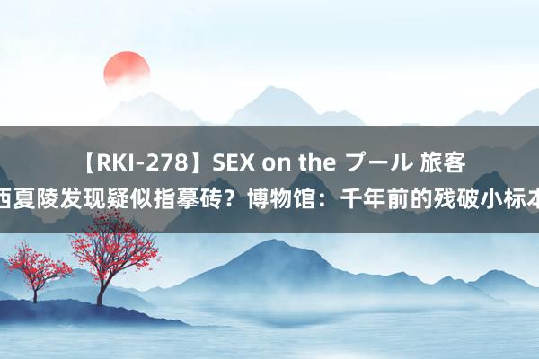 【RKI-278】SEX on the プール 旅客西夏陵发现疑似指摹砖？博物馆：千年前的残破小标本