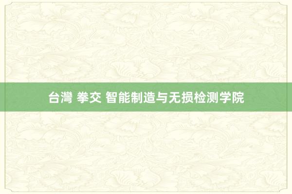 台灣 拳交 智能制造与无损检测学院