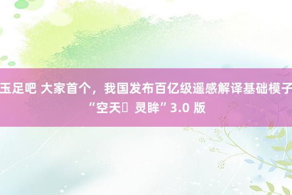 玉足吧 大家首个，我国发布百亿级遥感解译基础模子“空天・灵眸”3.0 版