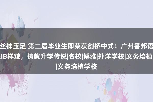 丝袜玉足 第二届毕业生即荣获剑桥中式！广州番邦语学校IB样貌，铸就升学传说|名校|博雅|外洋学校|义务培植学校